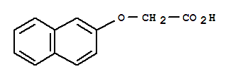 2-Naphthoxyacetic acid