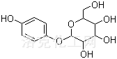 Arbutin