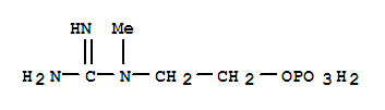 Creatinol phosphate